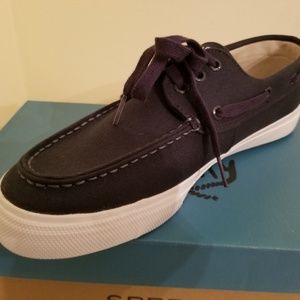 Men's Bermuda Sperry shoe